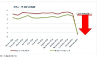 冠状病毒（COVID-19）流行病对全球贸易的影响