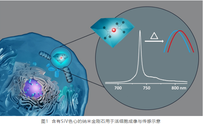 微信截图_20220525090356.png